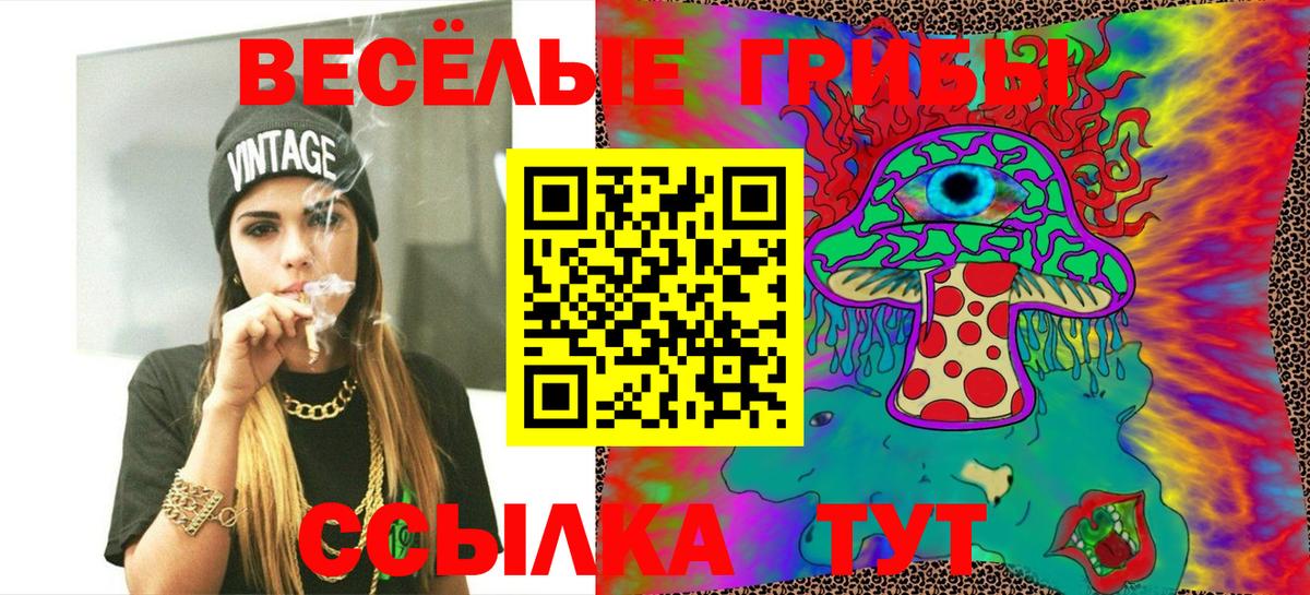 Псилоцибиновые грибы Psilocybe  Вход с VPN  Геленджик 